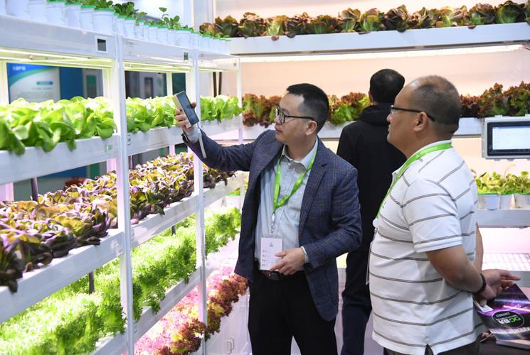 智慧植物工厂与良种培养 农业科技的未来图景